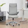 Ergonomic Swivel Mesh Office Chair, Lumbar Support, Flip-Up Armrests, Tilting Headrest, Gray