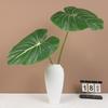 Green Plants Artificial Calla Leaves Plastic Artificial Arrowroot Leaf Banana Leaf  Room Decor