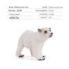 Realistic Arctic Animal Models: Polar Bear, Arctic Fox, Seal, Walrus, Whale