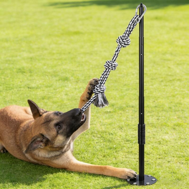 Langlebige Federstangen für Hunde mit elastischen Leinen Outdoor-Spielzeug Bewegung Spaß im Hof Gärten Sicher für große Hunde