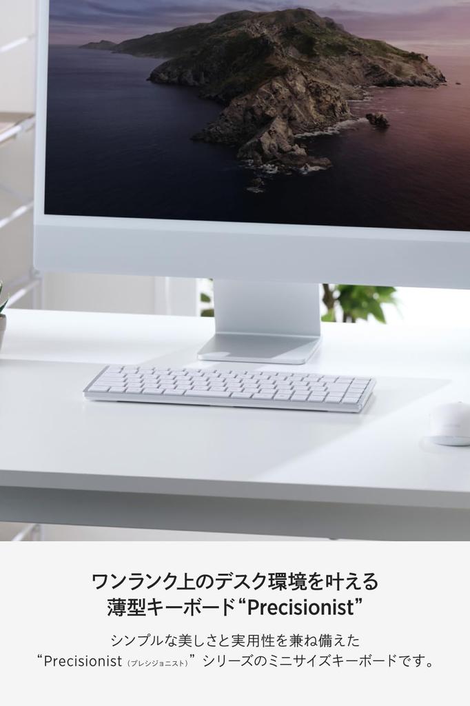 ELECOM Wireless Keyboard Precisionist Bluetooth 2.4GHz Wireless Multi-Pairing (4 Devices) Rechargeable Slim Pantograph Mini Size White TK-PN1075MPAWH