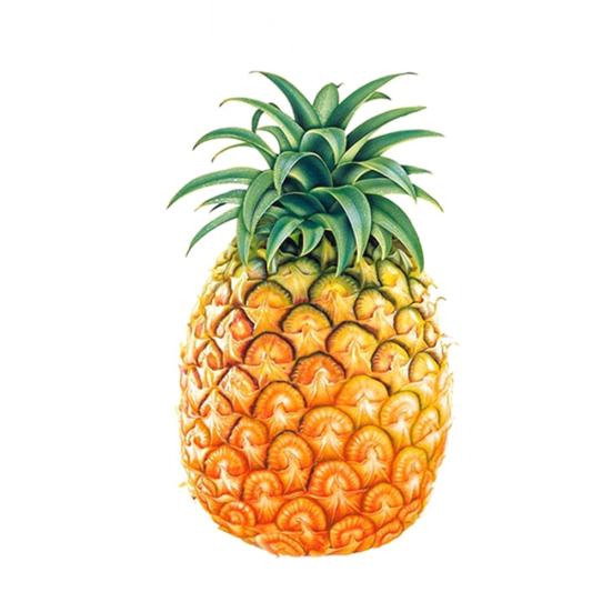 Tvar ananasu Roztomilý dort Forma na zdobení dortů Nástroj na vykrajování fondánů