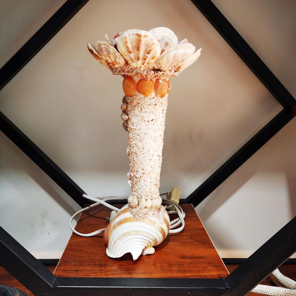 Συσκευασία 20 Μεγάλων Λευκών Χτενωτών Κοχυλιών για Χειροτεχνίες Ζωγραφική Ψήσιμο Διακόσμηση Πάρτι με Θέμα τον Ωκεανό Και Οικιακή Διακόσμηση 6-8εκ