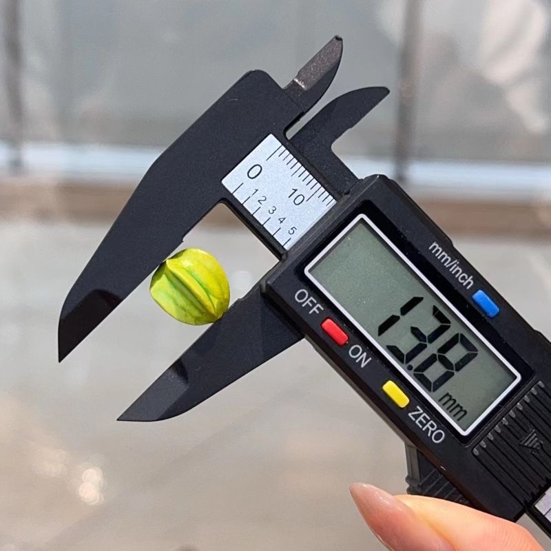 

Аксессуары Root Бренд Маленькая Мышка Плетеный Вручную Браслет-Четки с Автографом Коллекционные Украшения Разделительные Бусины Бусины Аксессуары Carambola style