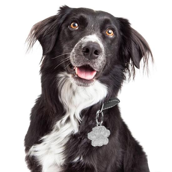 Pet Dog Puppy Paws Rhinestone Collar Tags Charm Pendant Key Ring Accessories