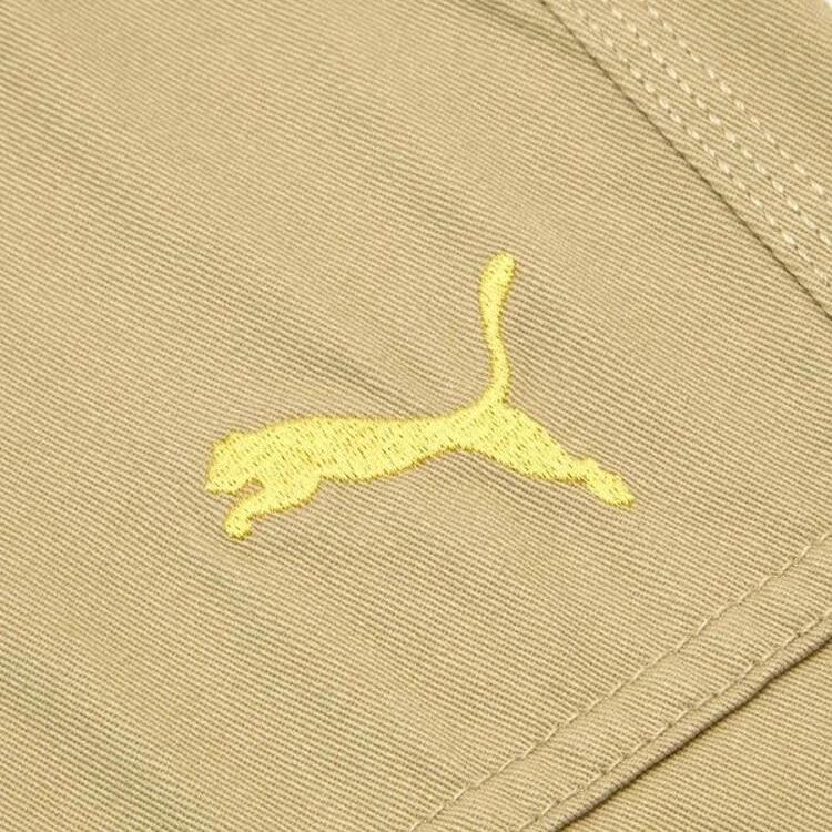 Puma Fashionable Comfortable Breathable Cargo Pants Men Bottoms Brown 633136-68
