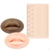 Eyebrow Practice Supplies Lip Permanent Sheet for Beautician Beginner