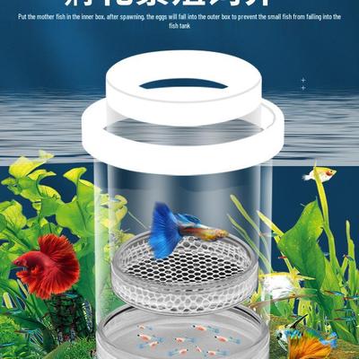 Guppy Laichkasten für kleine Fische, Jungfische und Betta - Aquarium Isolationsbecken