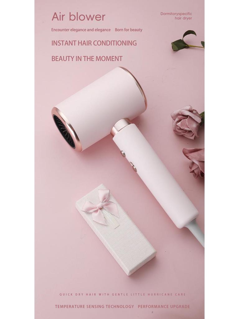 High-Speed Negative Ion Hair Dryer for Home and Salon Use - Cold & Hot Air, High Power