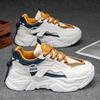 Daddy Shoes Men's Shoes Autumn New Breathable Mesh Shoes Men's Trendy Versatile Thick-soled Heightening Casual Sports Shoes