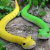 RC Snack Toy Electric Simulation Serpent Snake Moves Fake Realistic Crawling