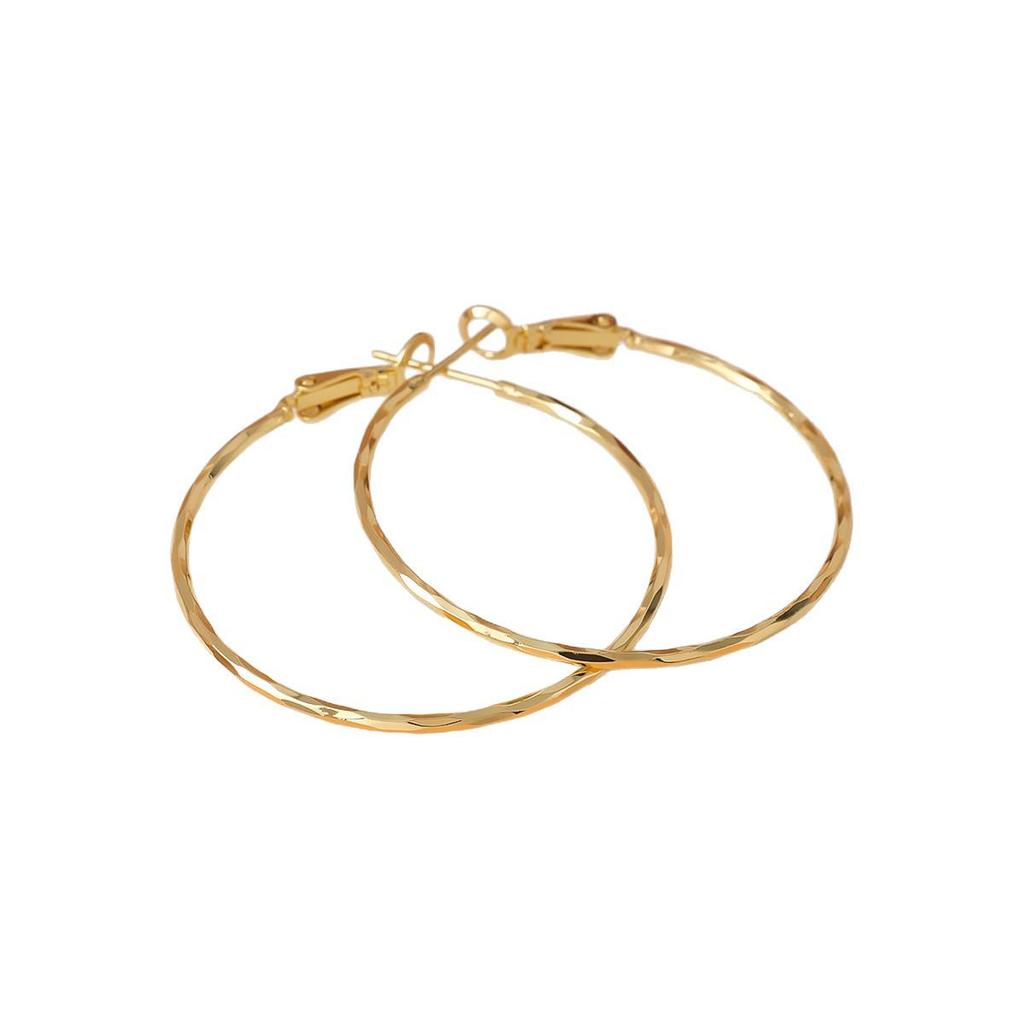 S925 Silver Needle Large Hoop Earrings for Women - Light Luxury Ear Studs, Niche Design, Exaggerated Square & Round Face Plain Hoops