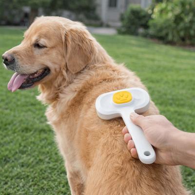 Perros – Productos de peluquería canina