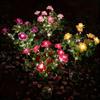 Solar Azalea Flower Stake Lights LED Waterproof Solar Powered Floral Garden Light for Outdoor Patio Yard Pathway Landscape Decor