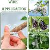 100 Pcs Plant Clips for Flower Vegetable Upright Growth Plant Clips for Climbing Plants Vegetable Garden Plant Support Clips for Outdoor Plants (White