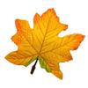 10PCS Bright Colored Faux Maple Leaf Models With Natural Texture For Home Decors And Seasonal Displays