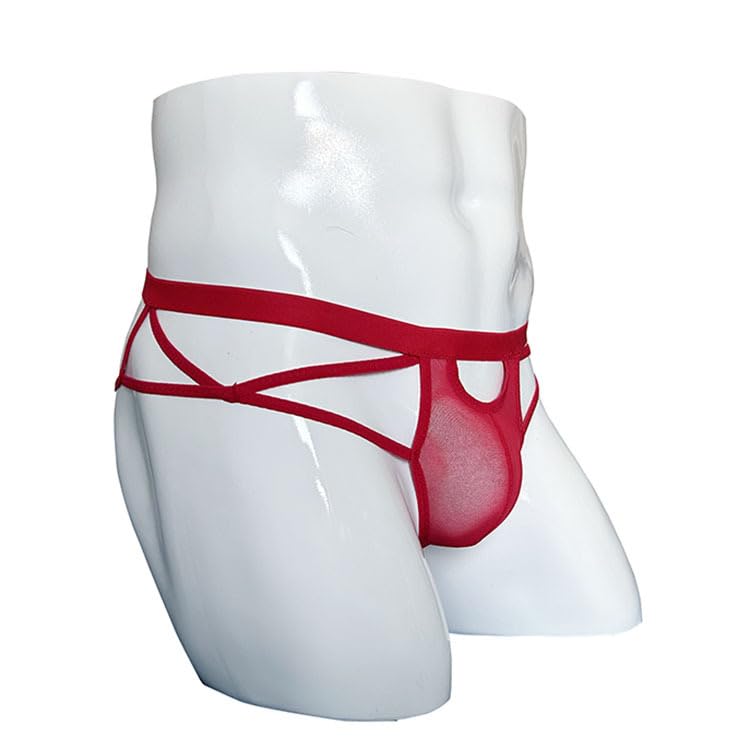 GEUGJJK Lace Panties with Mesh Black and Extra Extremely 3D Popular Adult Sexy Comfortable Boyfriend Men's T-Back Straps, White, Small, See-Through,