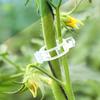 100 Pcs Plastic Plant Clips For Climbing Plants Clear Plant Fixing Clip Tomato Trellis Clips Plant Support Clips Vine Fixing Clip