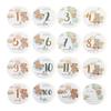 Little Bear Milestone Cards: 1-12 Months & Hundred Days Commemorative Photo Props