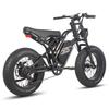 Electric Bicycle FAFREES F20 Ultra 20" 750W Motor Electric Bike Adult Top Speed 40Km/h 48V 25AH Range 140Km Load 180Kg