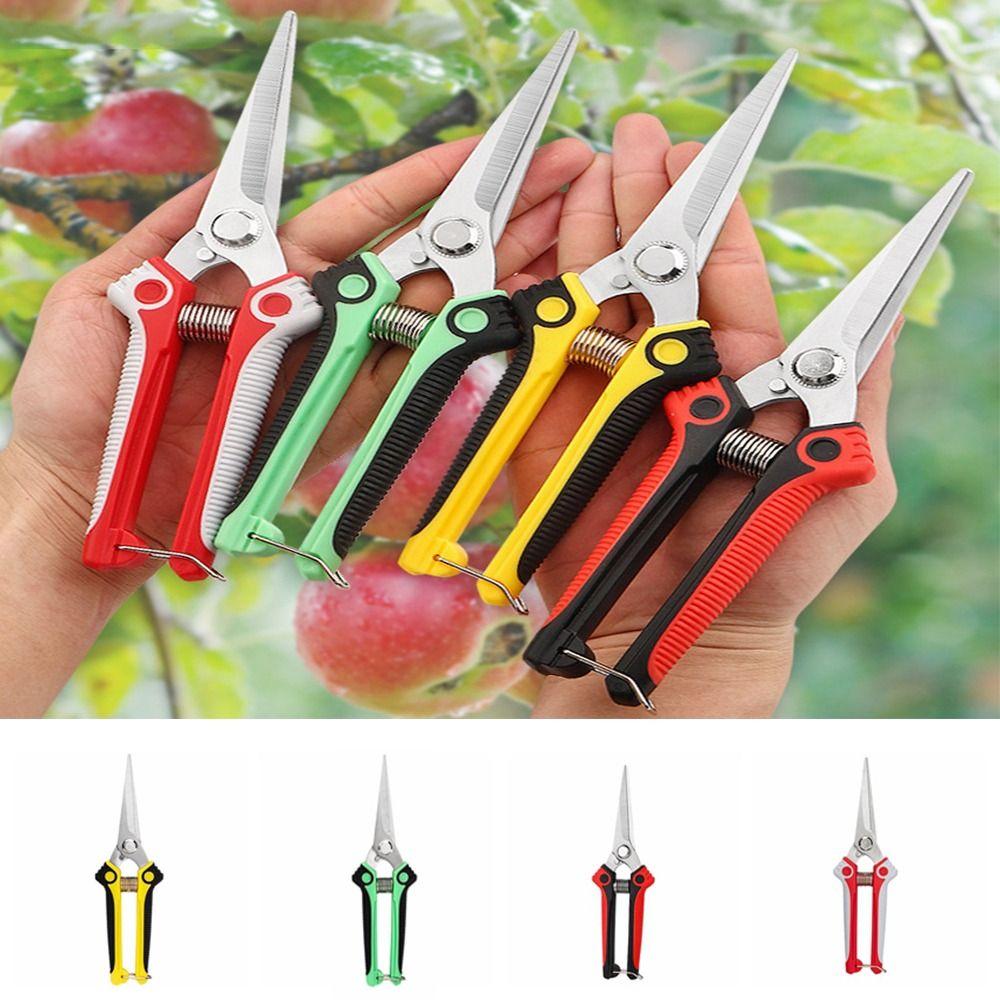 

с замком безопасности Ножницы для обрезки Прочные садовые ножницы Ножницы для фруктовых деревьев Обрезка фруктовых деревьев