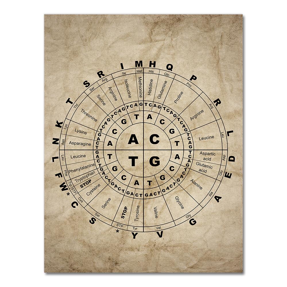 DNA and RNA Genetic Code Wall Art Canvas Painting Prints Genetics Biochemistry Student Gift Vintage Posters Science Wall Decor 21X30CMNo Framed
