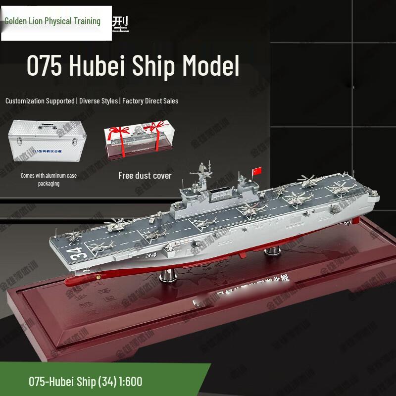Type 075 Amphibious Assault Ship Model