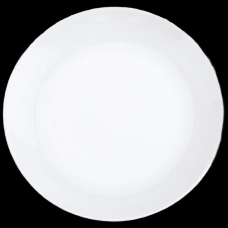Fuchengxing 10-inch Ceramic Shallow Dinner Plate (Set of 2)