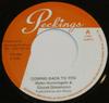7inch Record PETER HUNNIGALE  SOUND DIMENSION  Coming Back To You PTI052 Peckings Record 2008 UK Reggae Ska  Dub Used