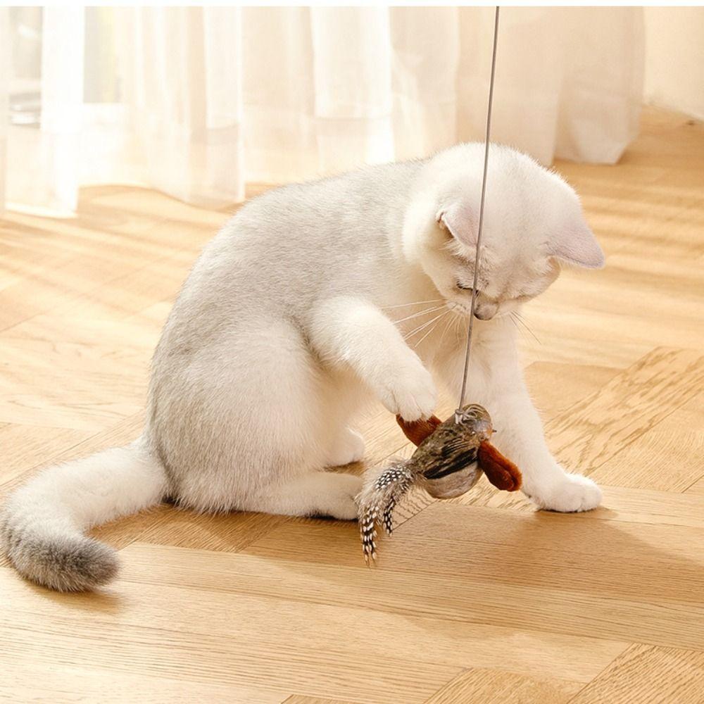 Chirping Interactive Pet Toy Teasing Toy Plush Bird Toy Simulation Bird Cat Toys  Relieve Boredom