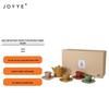 JOYYE Spring & Autumn Carved Porcelain Tea Set