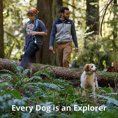 Official RUFFWEAR Crag EX Leash Alpine Dusk