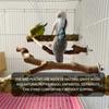 Bird Perch Stand Natural Wooden Stand Branch Chewing Stick Training Climbing Toy Bird Cage