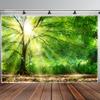 Sunlight Forest Tapestry, Bright Green Trees With Sun Rays, Nature Scenery Wall Hanging For Living Room Bedroom Decor