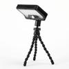 Octopus Solar Motion Sensor Outdoor Light
