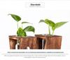 Hydroponic Test Tube Glass Vase: Creative 3D Ornament for Living Room Flower Arrangements - Simple Desktop Decoration