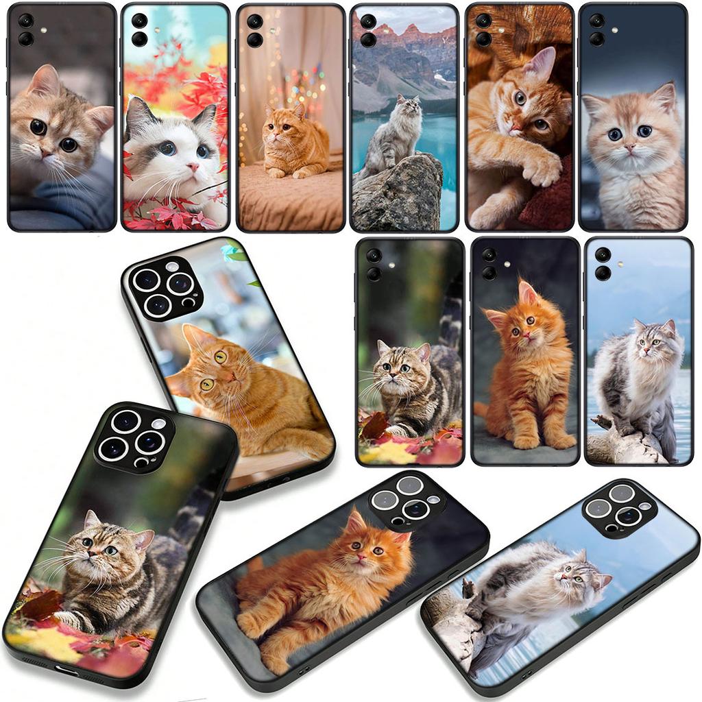 Kitten Cat Cover Phone Case for Samsung Galaxy A07 A13 A12 A14 A23 A42 A50 A51 A52 A53 A70 A71 A72 A21S A04 Note 20 9 8 10