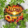 Vintage Tropical Beach Sunset Metal Tin Sign Aloha Wall Decor for Home