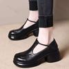 Vintage Dames Leren Schoenen 2026 Herfst Nieuw Hoogte Verhogend Buiten Antislip Middelhoge Hak Schoenen Mode Comfort Mary Jane Schoenen