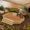 Mit Rampe Schildkröte Wasserschale Anti-Rutsch Reptilien Poolschale Reptilien Rampe Schildkröte Badebecken Aquarium