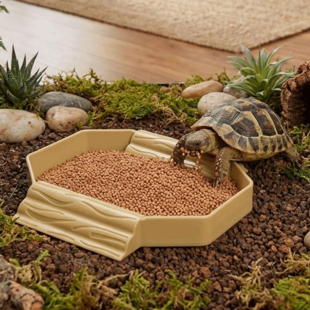 With Ramp Turtle Bath Basin Plastic Reptile Pool Dish Turtle Bath Tub  Habitat Accessories