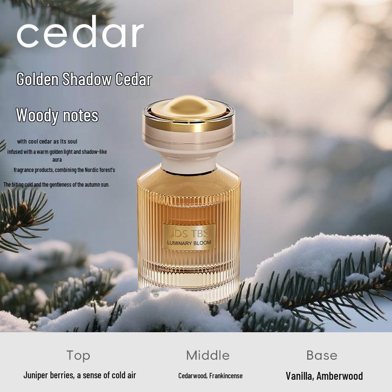 2025 High-End Long-Lasting Car Air Freshener with Odor Removal and Aroma Diffuser