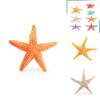 Marine Animal Model Pvc Toy For Childrens Educational Aquarium Decor