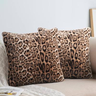 Textil do obýváku a jídelny – Povlaky na polštáře