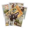 Japan Lenormand Oracle Cards Tarot Divination Deck English Vision Edition Board Playing Game For Party