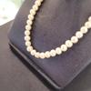 Atria 6mm Freshwater Pearl N 42cm Necklace JQNNEIN0021JJF