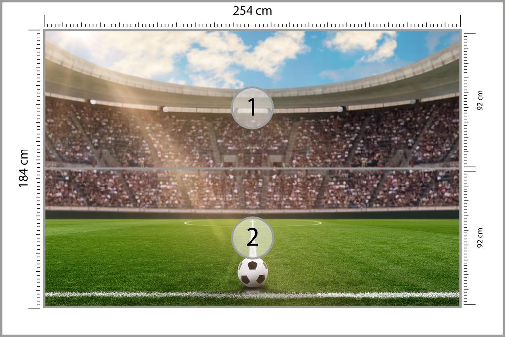 Photomural Soccer Stadium Smooth Vinyl 254x184