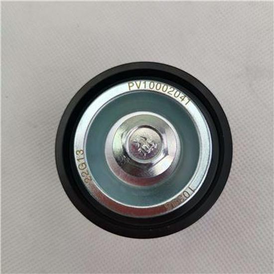 Foton Accessory Idler Pulley - 2PV10002041