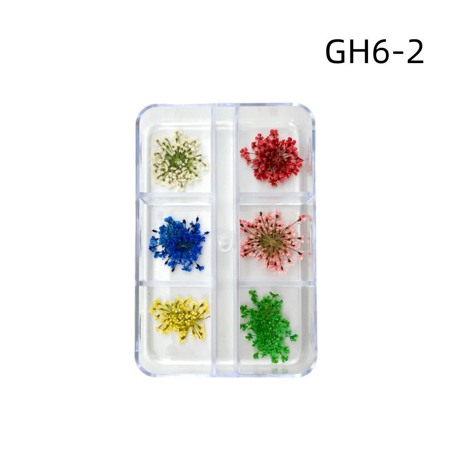 6-Grid Natural Dried Flowers for Nail Art - Japanese Style Sunflower & Baby's Breath DIY Decorations