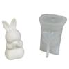 Rabbit Resin Molds for DIY Candle Gypsum Ornament Craft Easter Decorations Chocolate Crafts, Rabbit Shape Molds